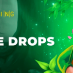 Finest Crypto Casino Easter Bonuses and Promotions (2024)